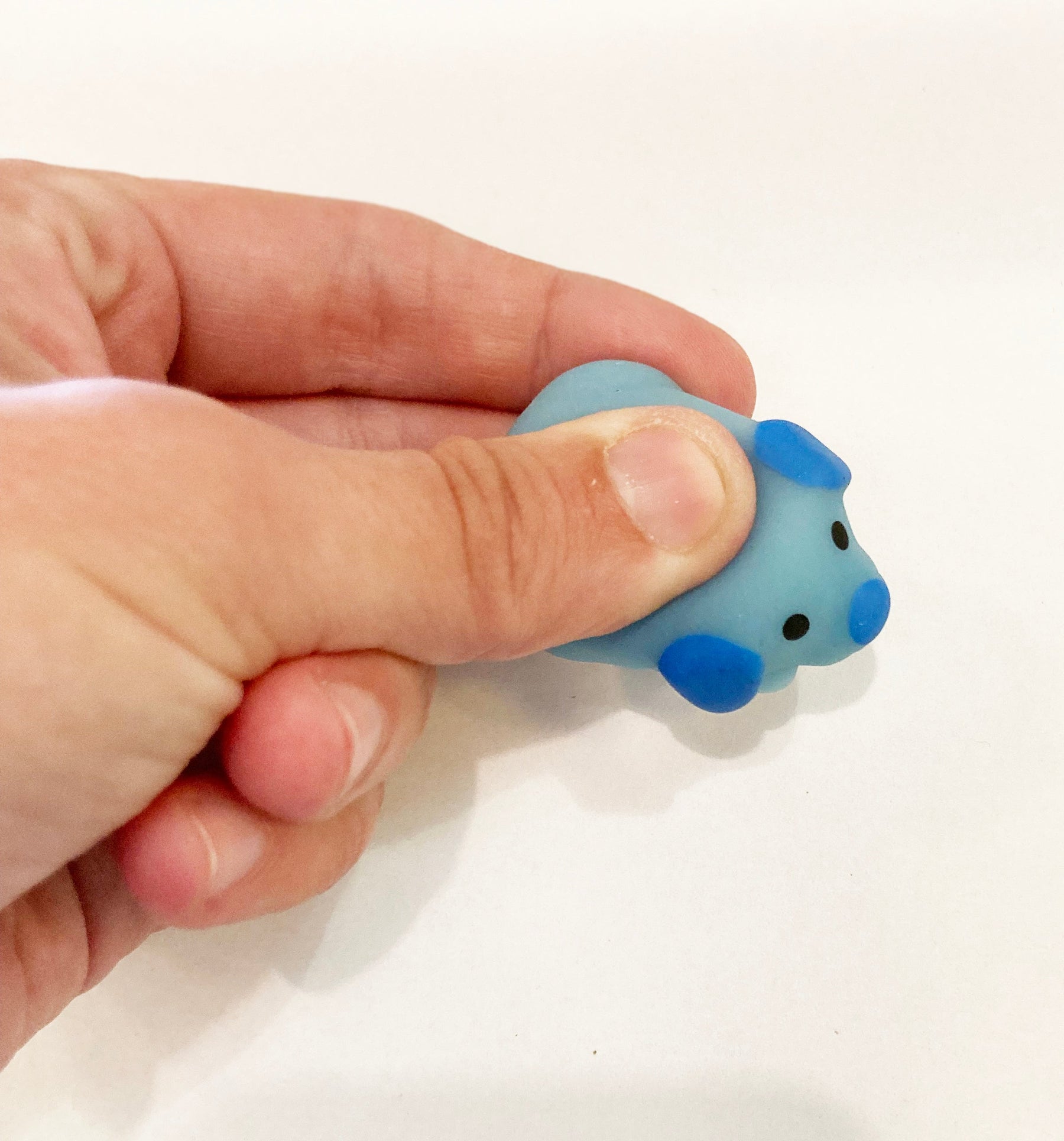 Gummy Dog
