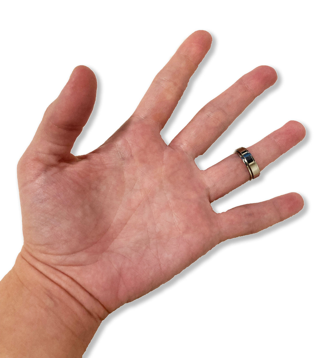 Spinning Ring - Silver
